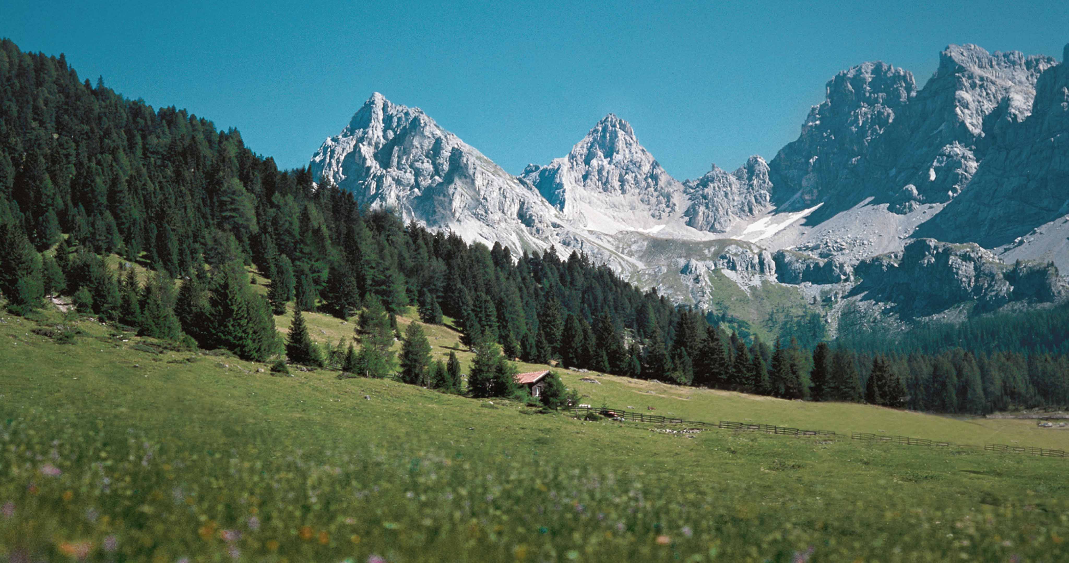 Gruppo Formaggi Del Trentino foto 2