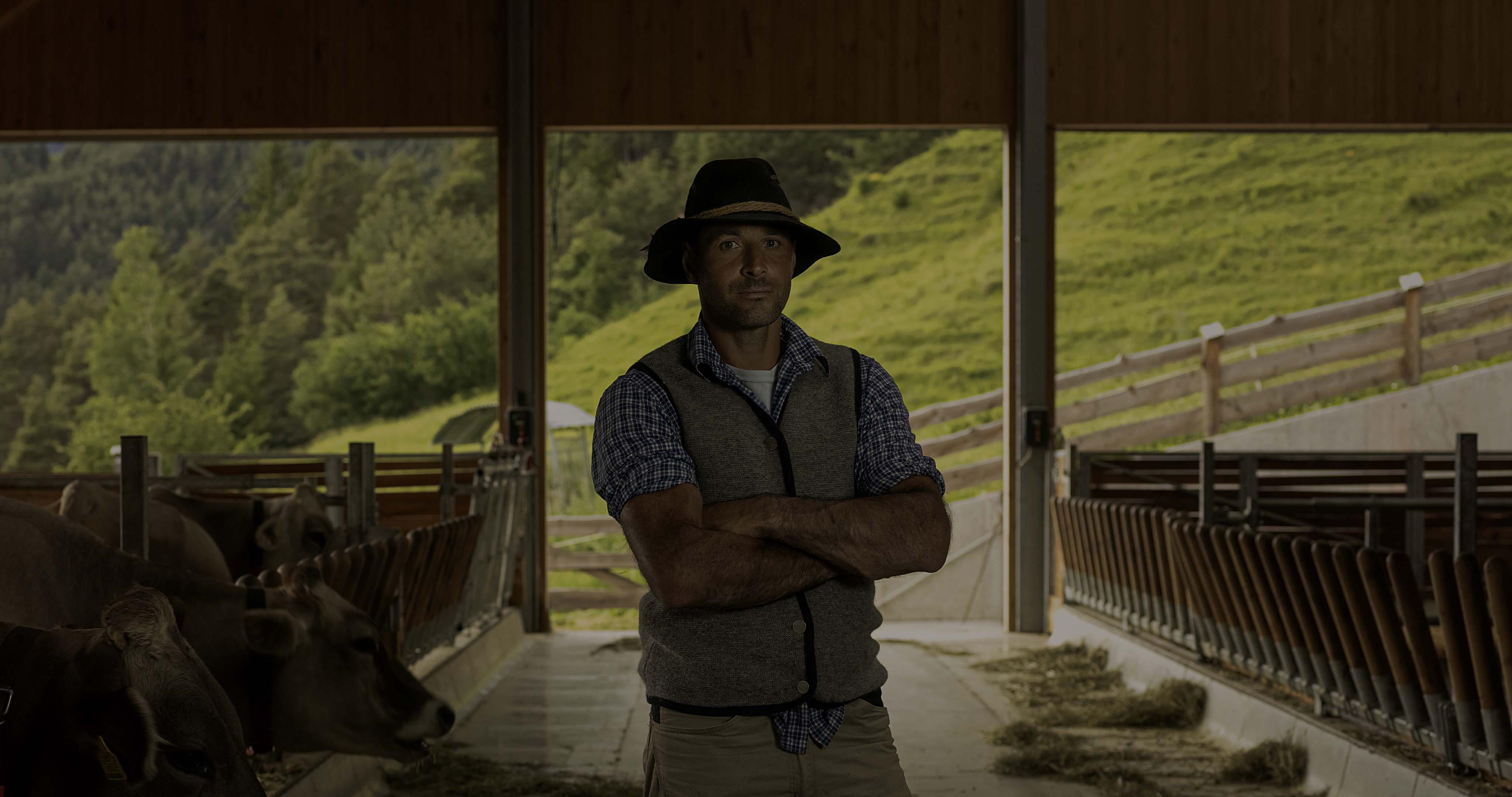 Gruppo Formaggi Del Trentino foto 3