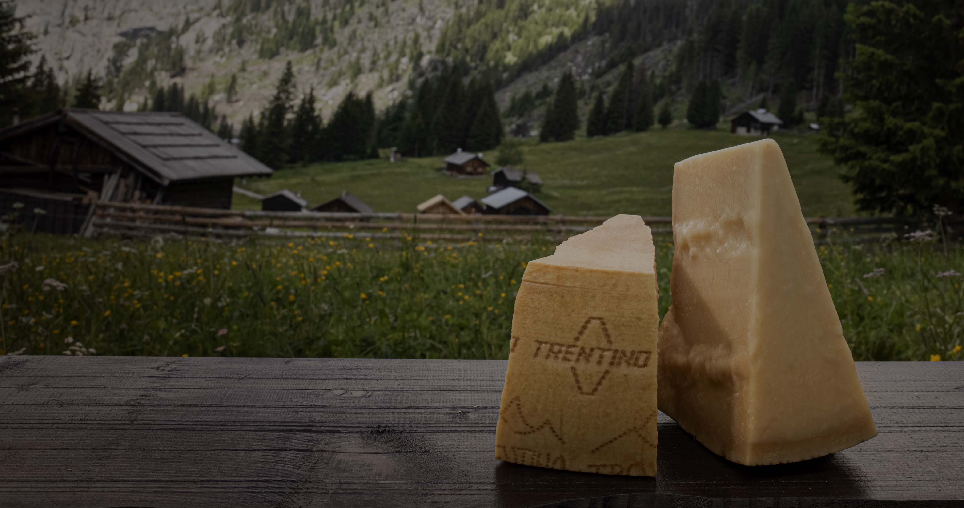 Gruppo Formaggi Del Trentino foto 5